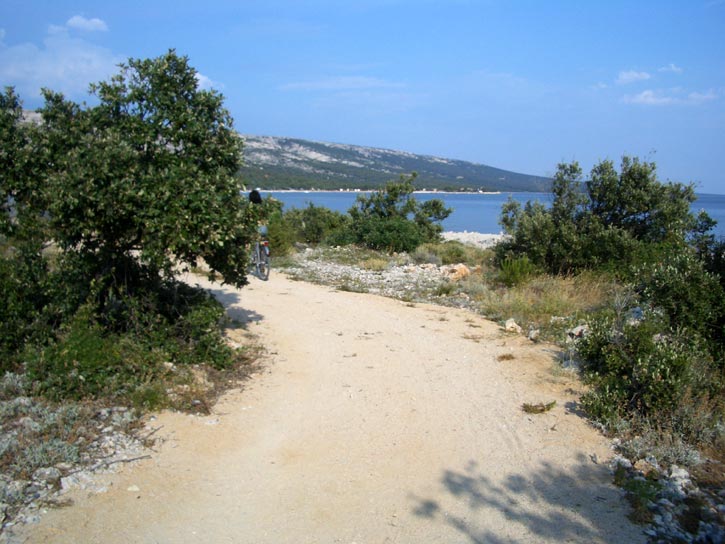 Typischer Weg an der Westk�ste