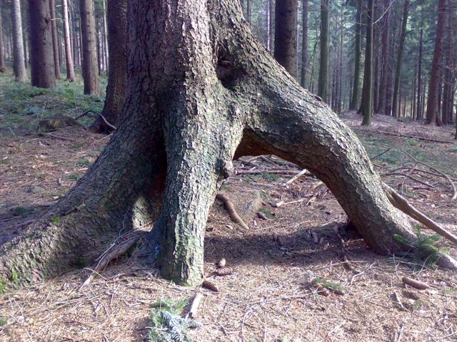 Arber/Rabenstein-Hennenkobel