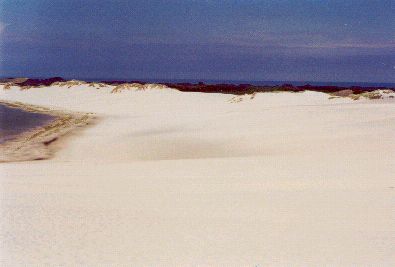 Dnen in der Nhe von Skagen